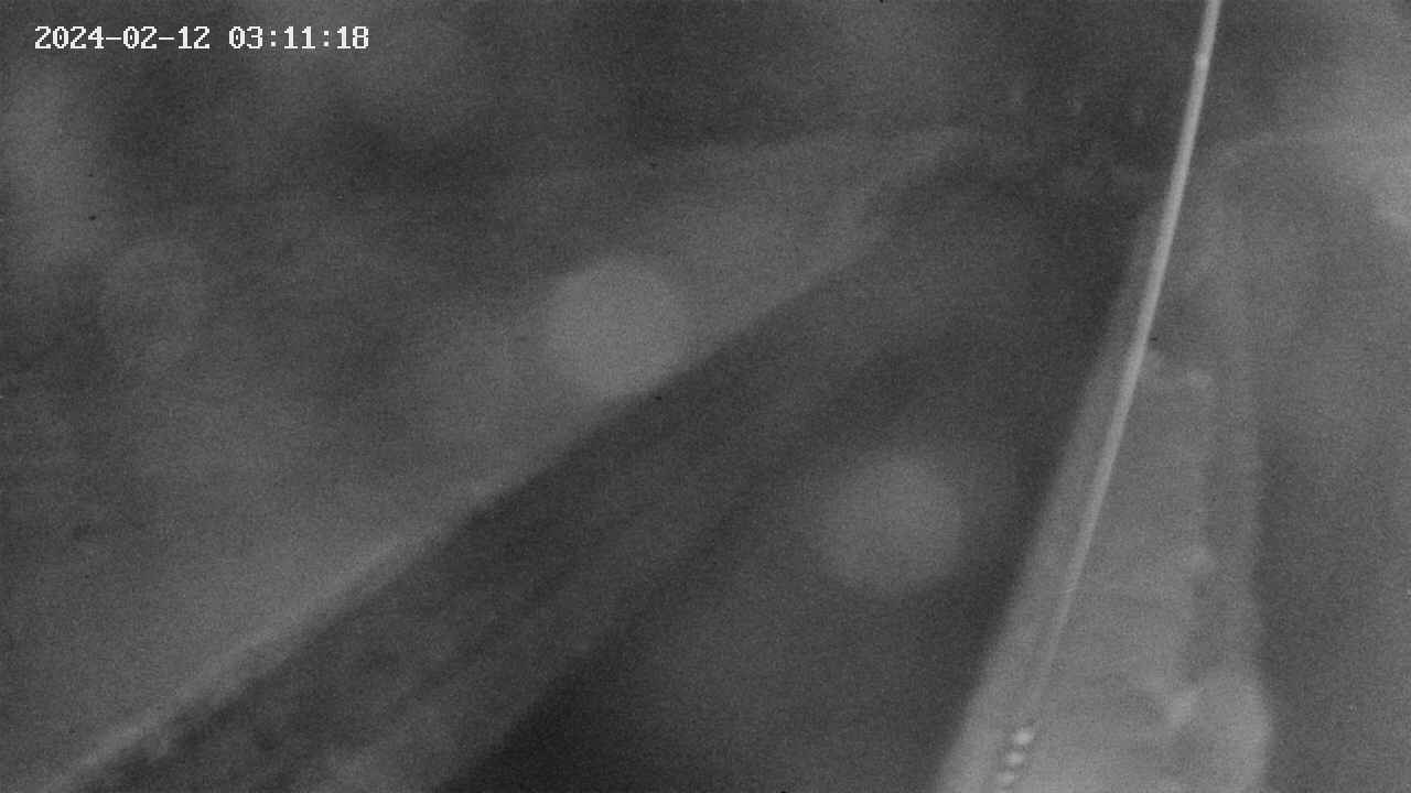 area9-20240212031118.jpg