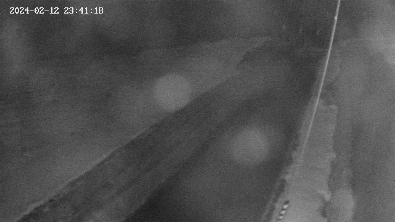 area9-20240212234118.jpg