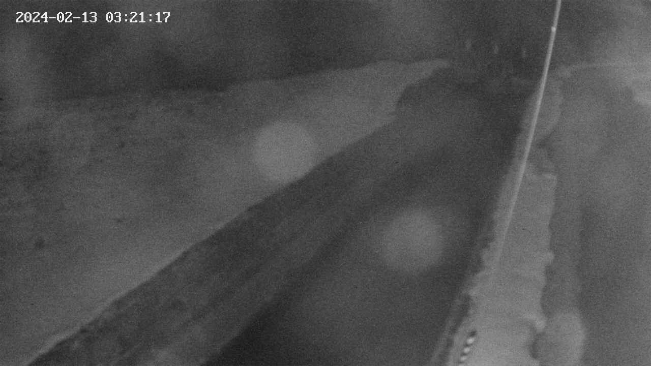 area9-20240213032117.jpg