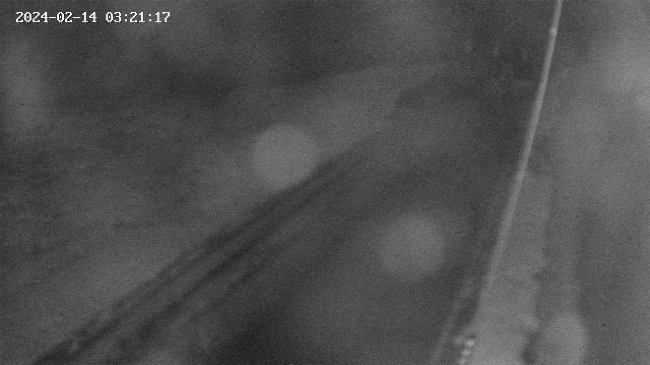 area9-20240214032117.jpg
