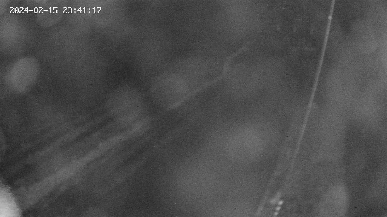 area9-20240215234118.jpg