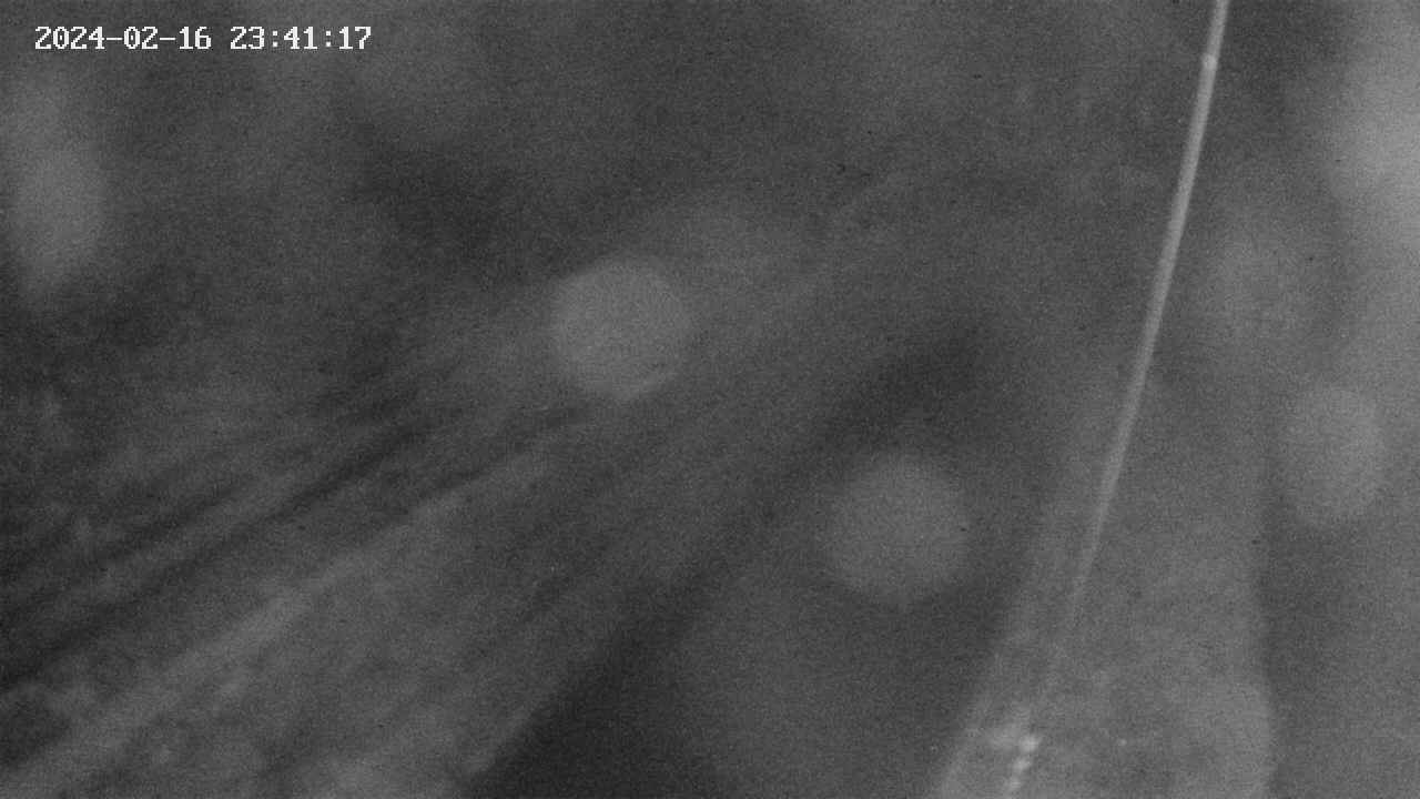 area9-20240216234117.jpg