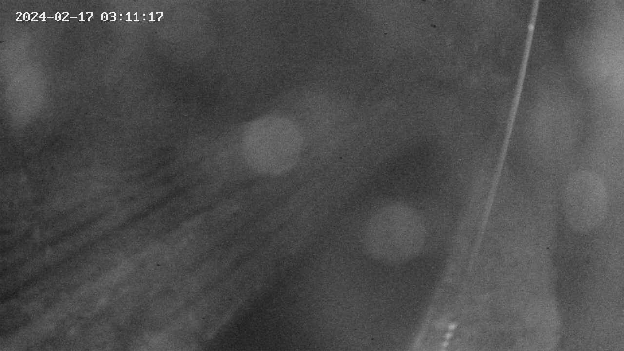 area9-20240217031118.jpg
