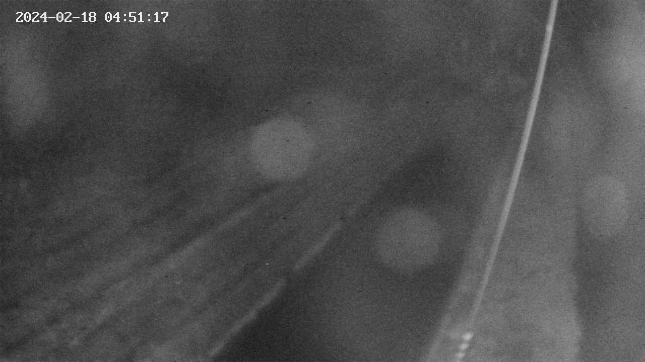 area9-20240218045118.jpg