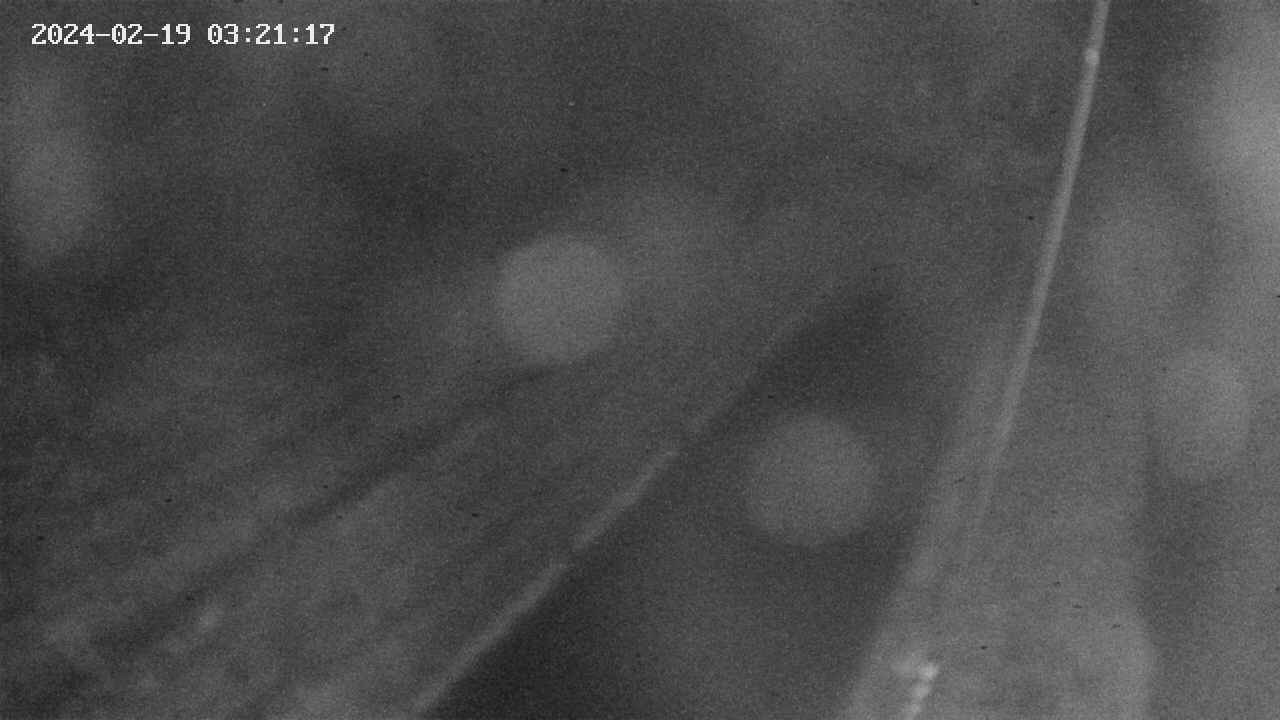 area9-20240219032118.jpg