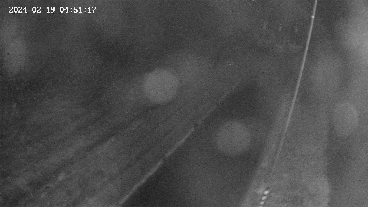 area9-20240219045118.jpg