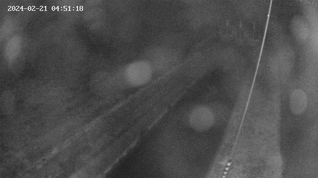 area9-20240221045118.jpg