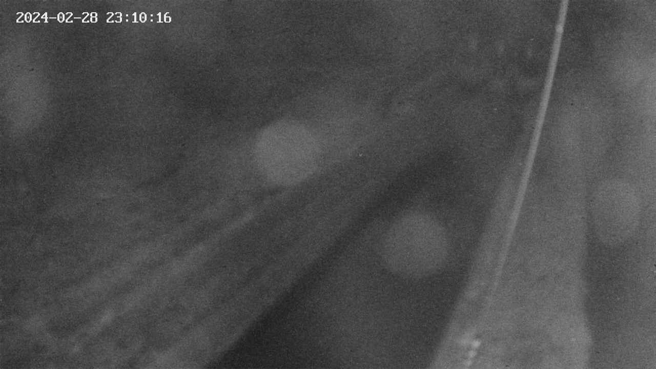 area9-20240228231018.jpg
