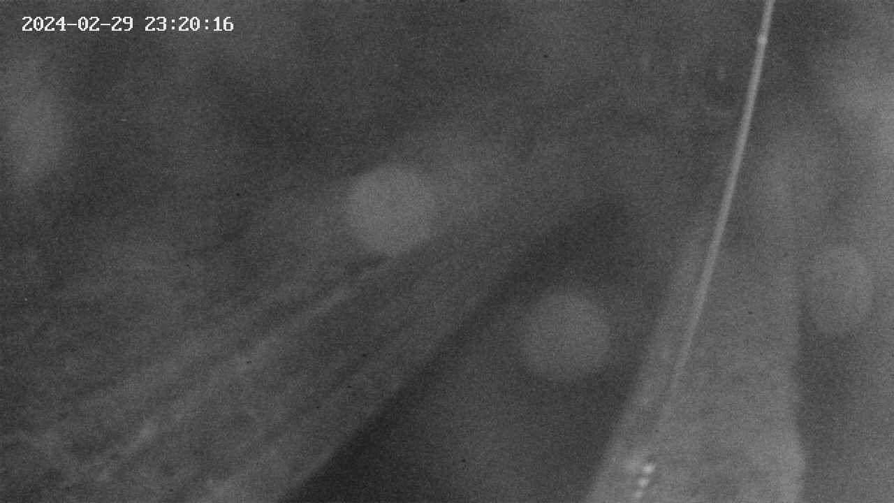 area9-20240229232017.jpg