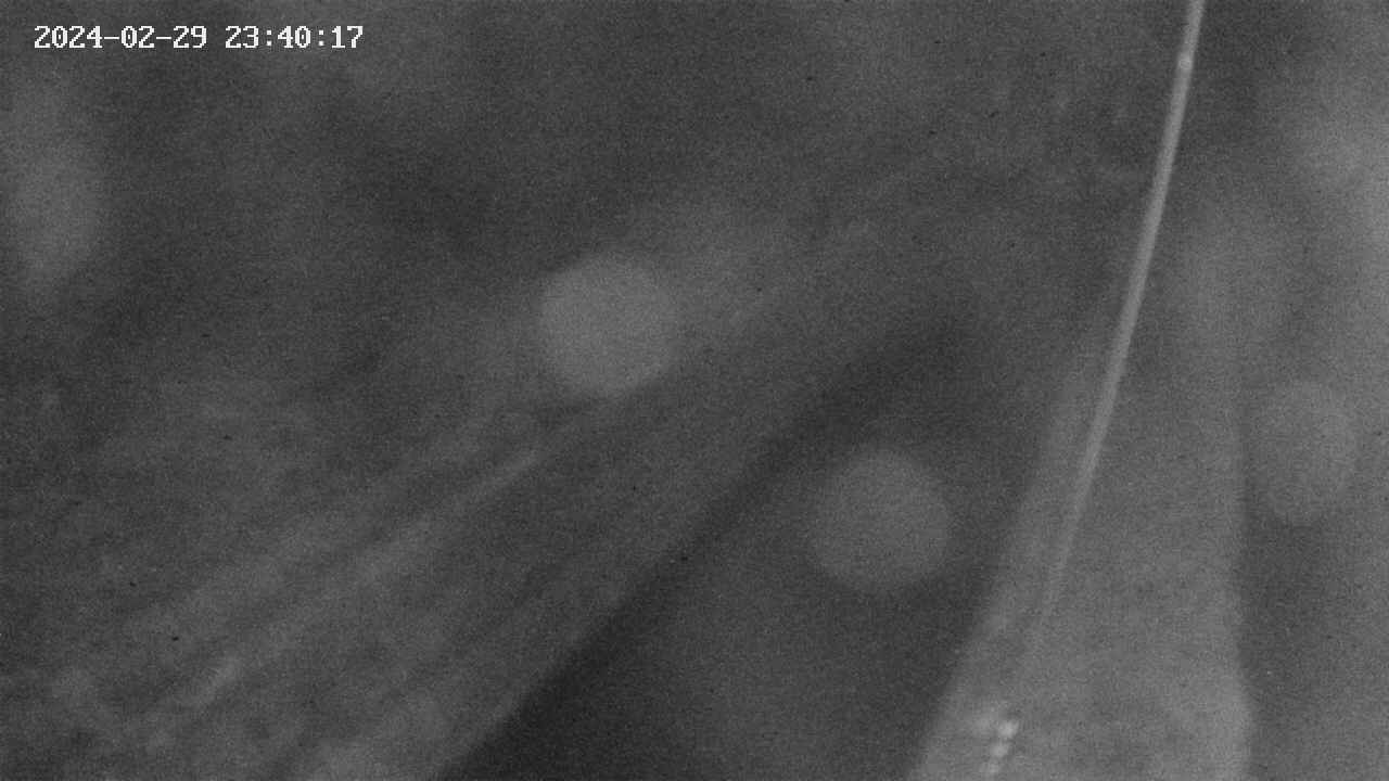 area9-20240229234018.jpg