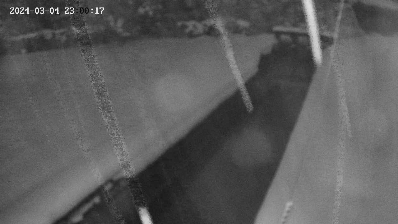 area9-20240304230018.jpg