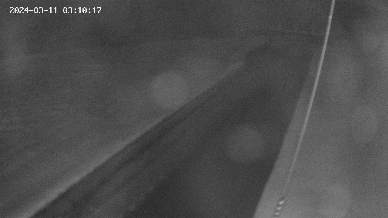 area9-20240311031018.jpg