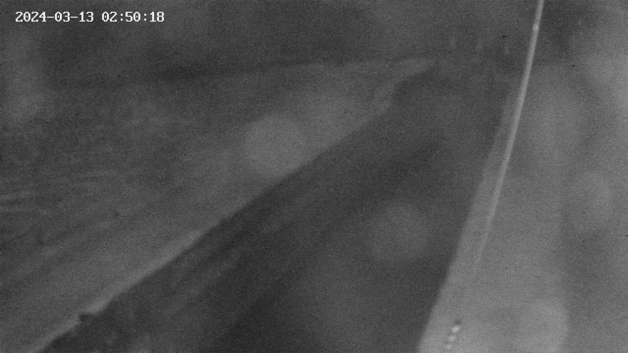 area9-20240313025019.jpg
