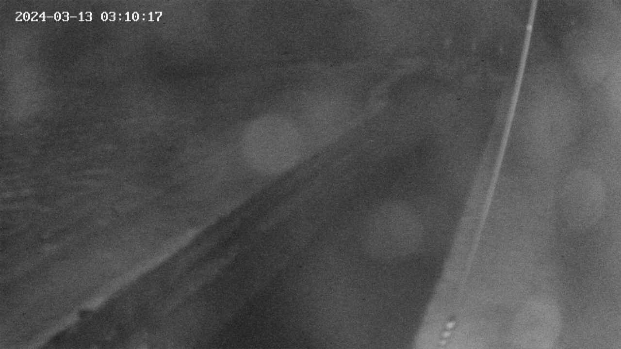 area9-20240313031018.jpg