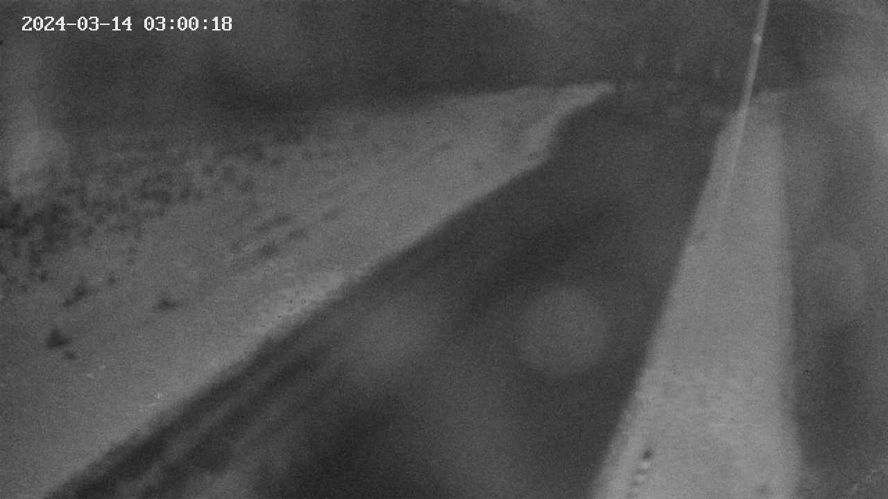 area9-20240314030019.jpg