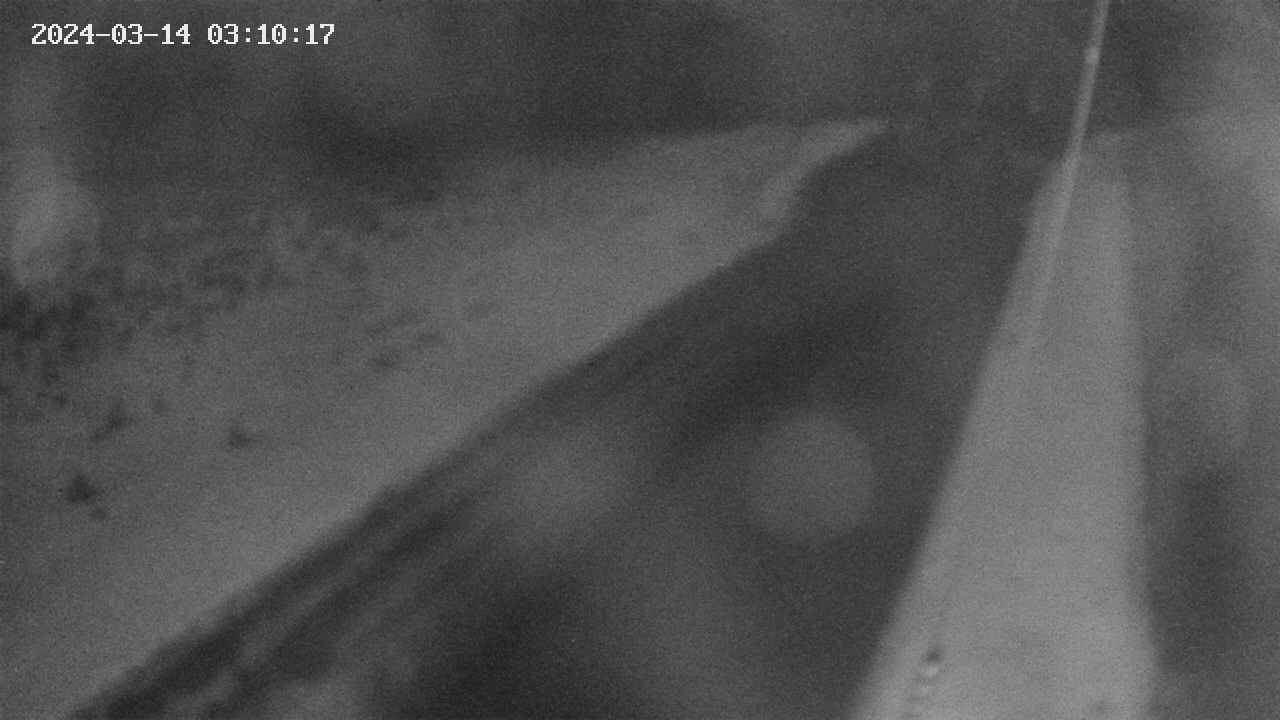 area9-20240314031018.jpg