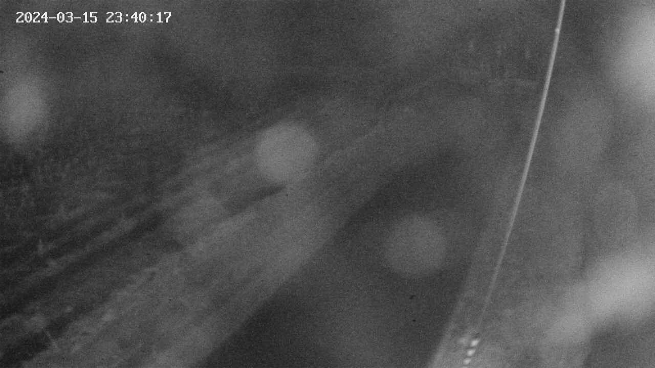 area9-20240315234017.jpg