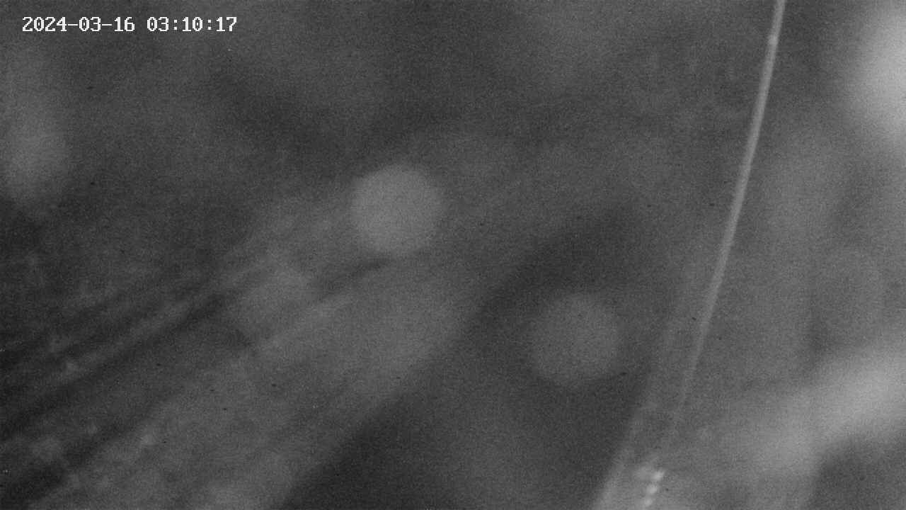area9-20240316031018.jpg