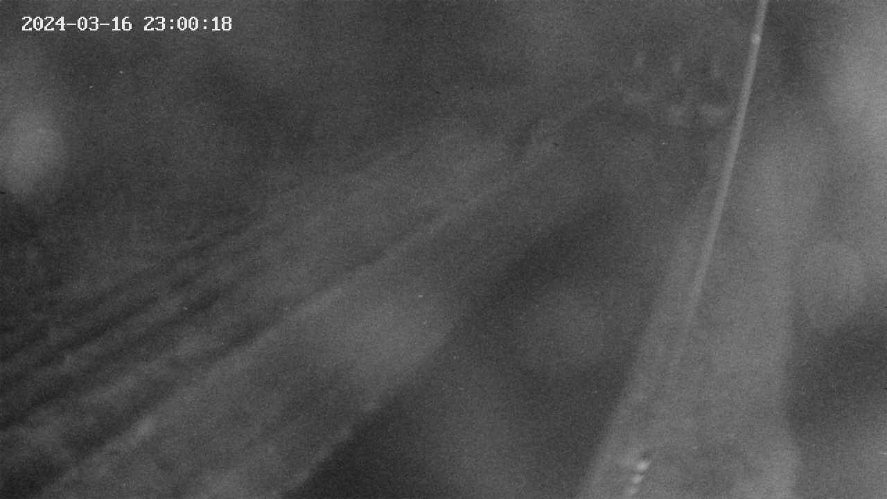 area9-20240316230018.jpg