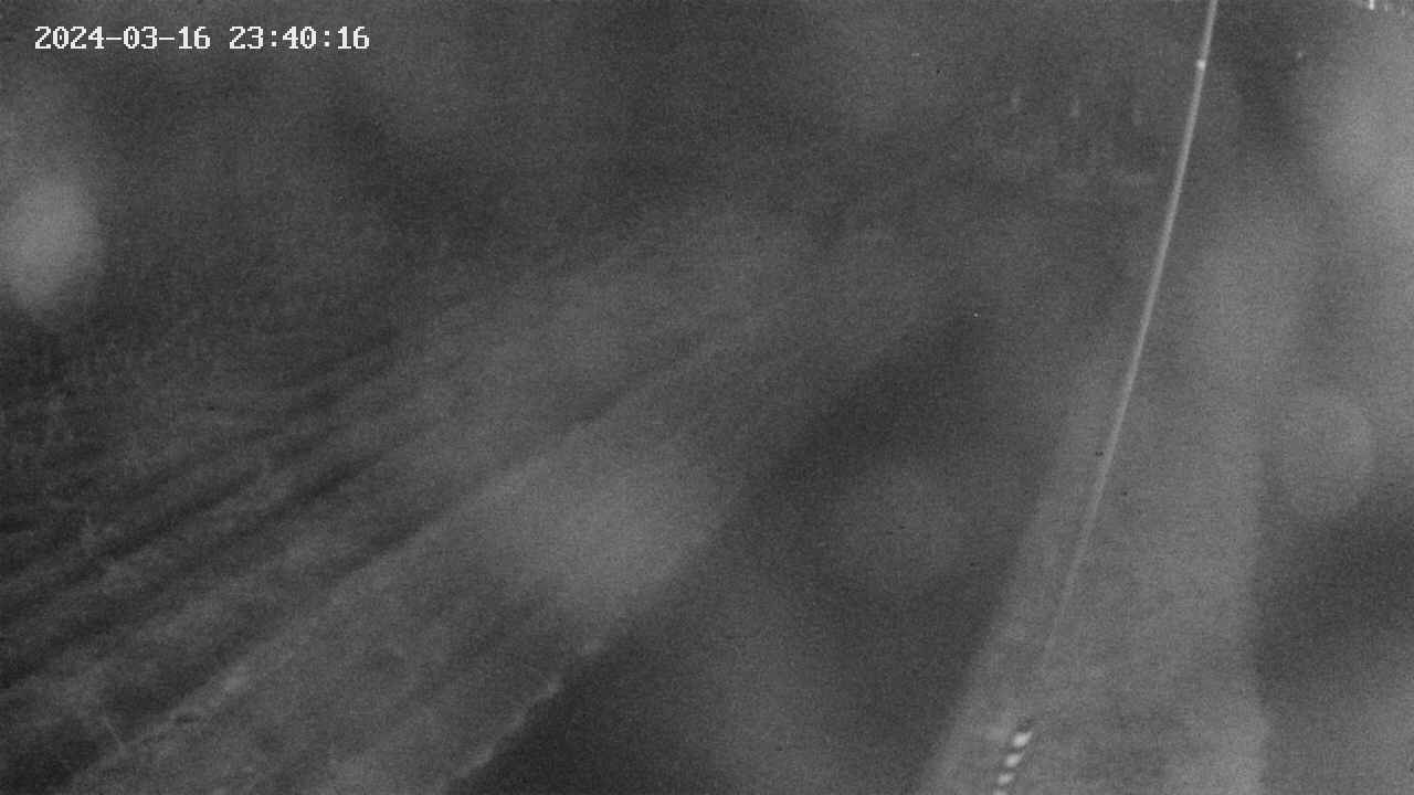 area9-20240316234017.jpg