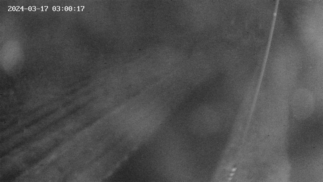 area9-20240317030018.jpg