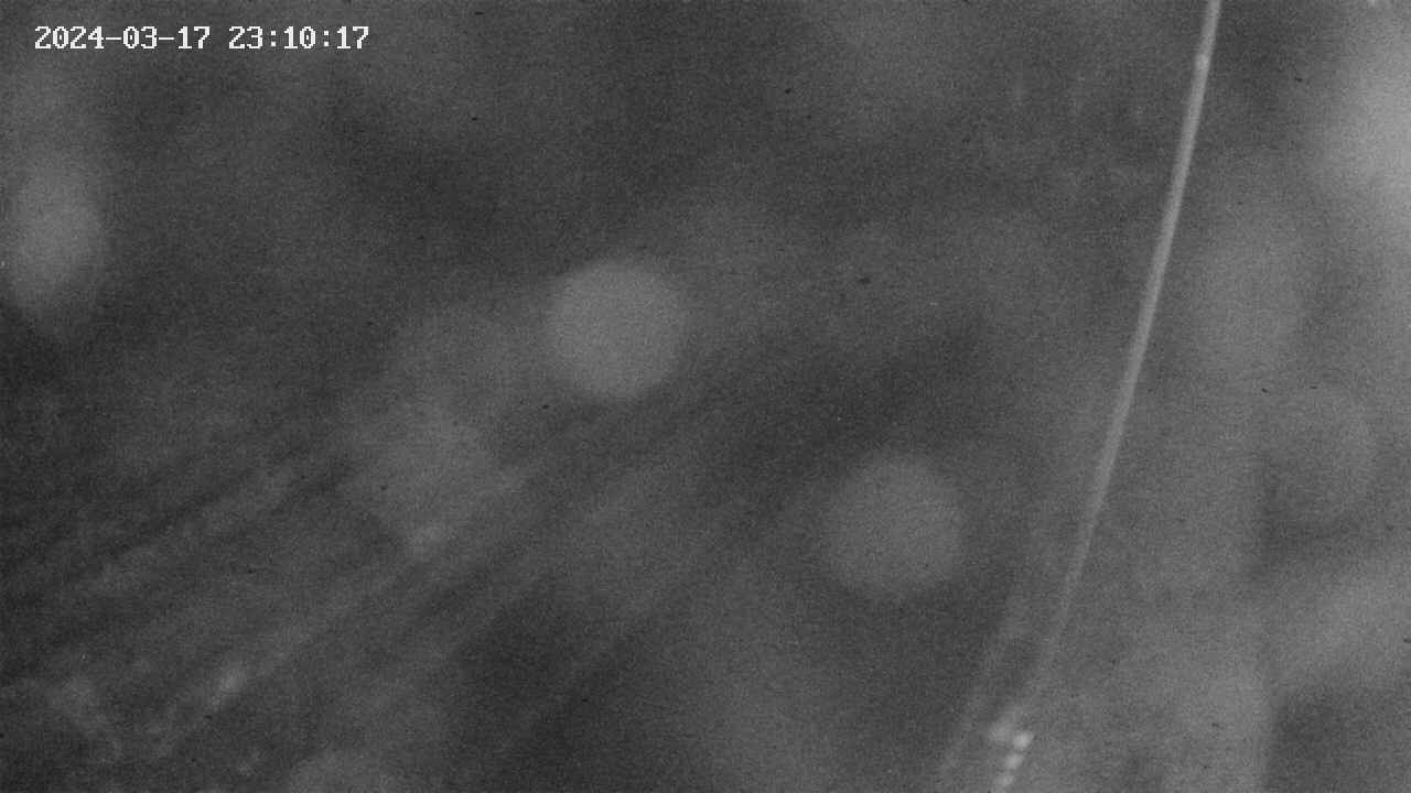 area9-20240317231018.jpg