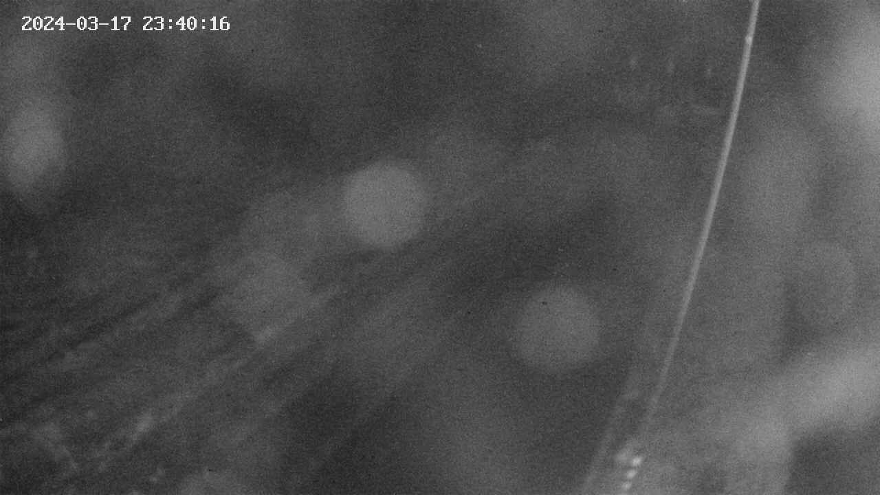 area9-20240317234017.jpg