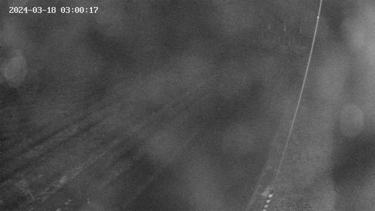 area9-20240318030019.jpg