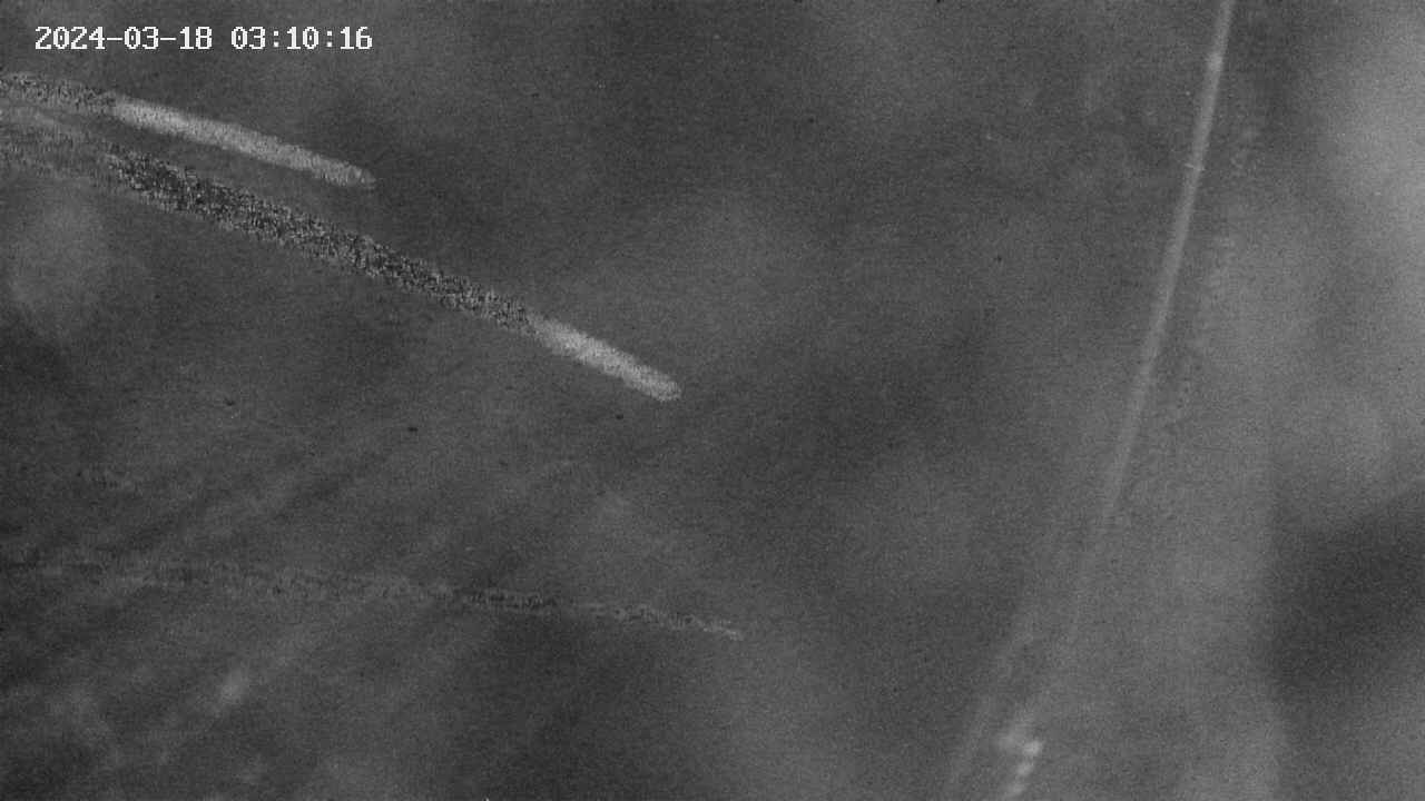 area9-20240318031018.jpg