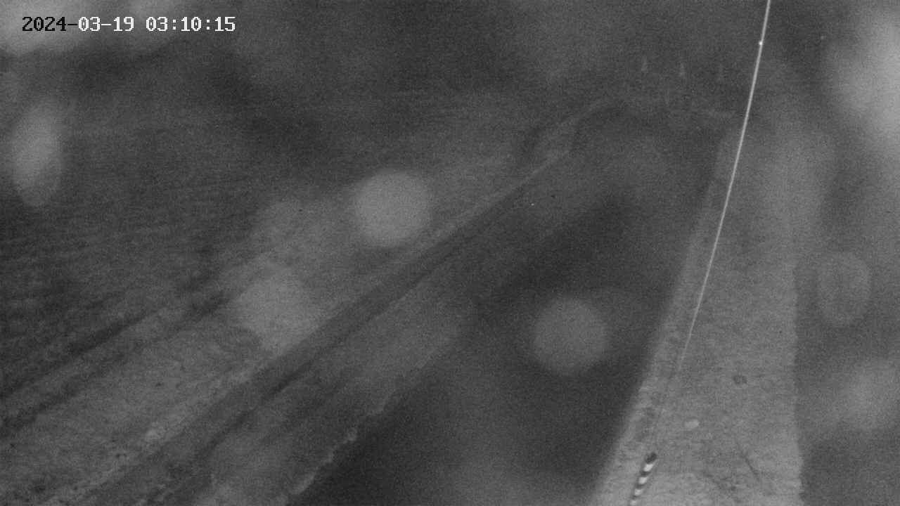 area9-20240319031017.jpg