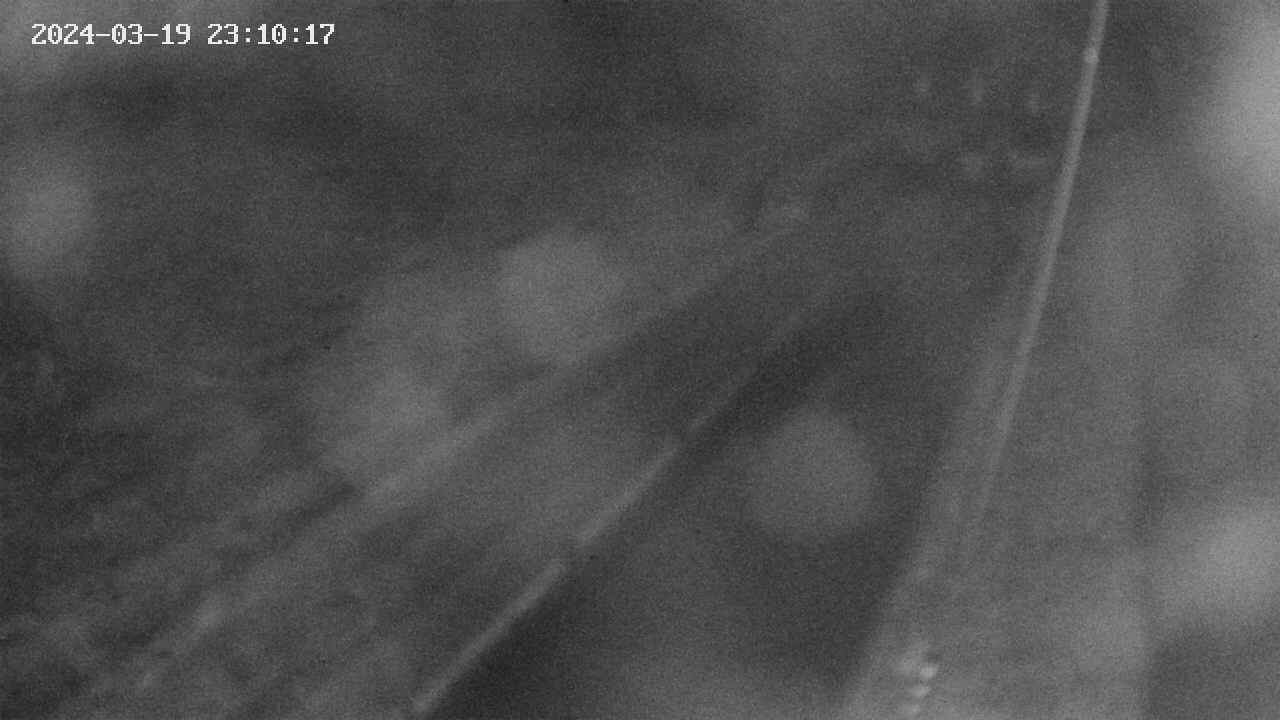 area9-20240319231018.jpg