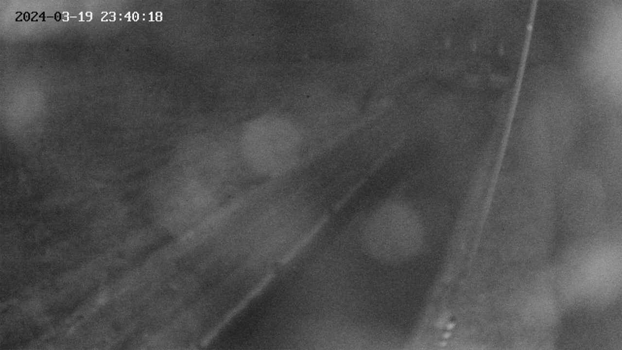 area9-20240319234019.jpg