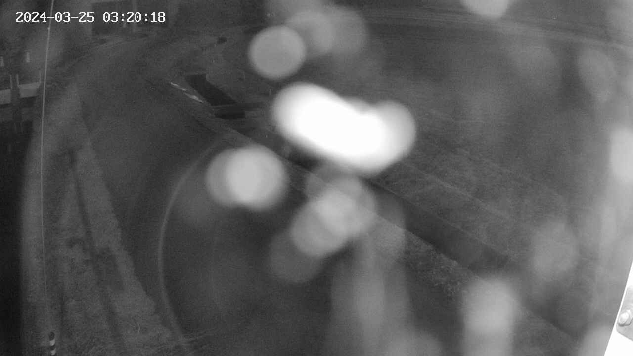 area9-20240325032018.jpg