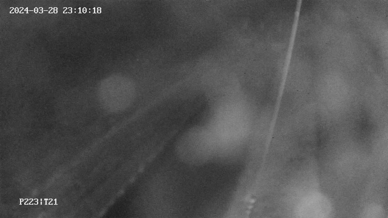 area9-20240328231019.jpg