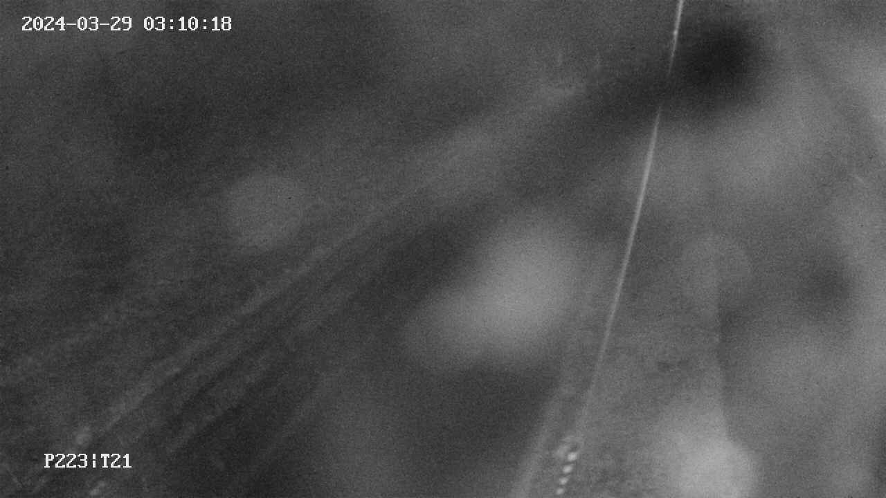 area9-20240329031019.jpg