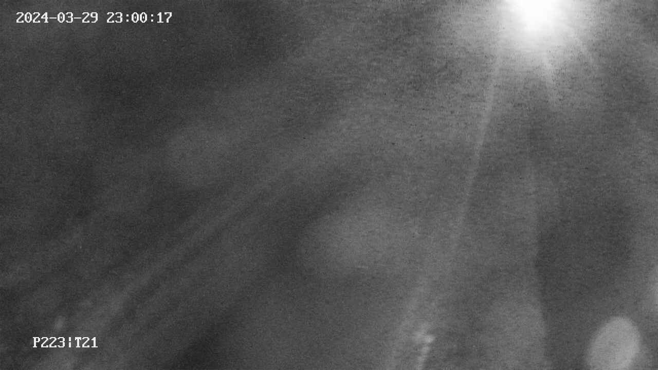 area9-20240329230017.jpg