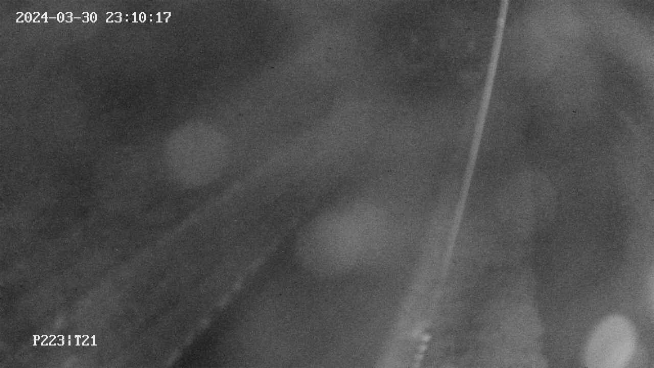 area9-20240330231017.jpg