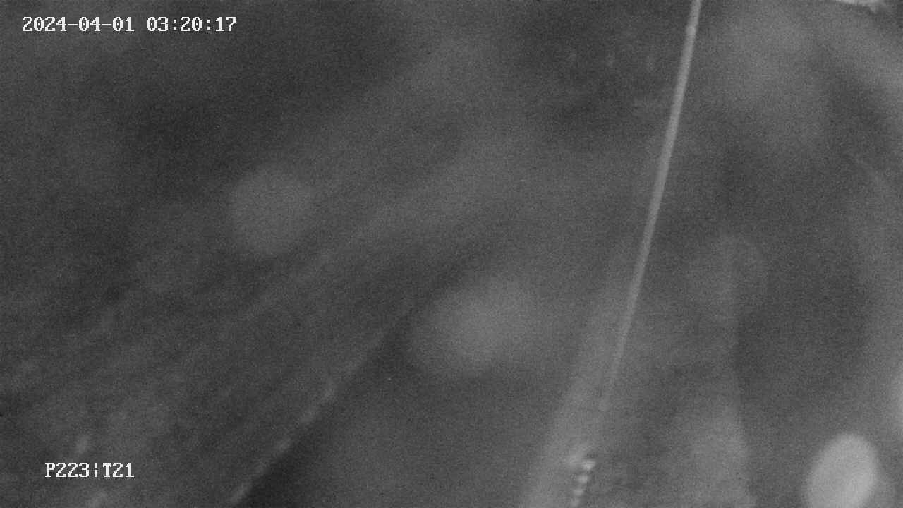 area9-20240401032017.jpg