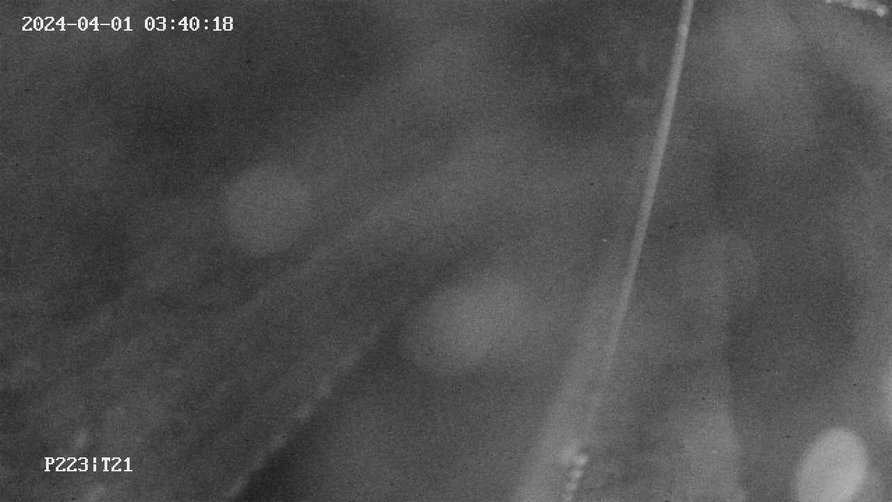 area9-20240401034018.jpg