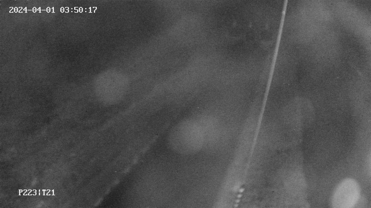 area9-20240401035017.jpg
