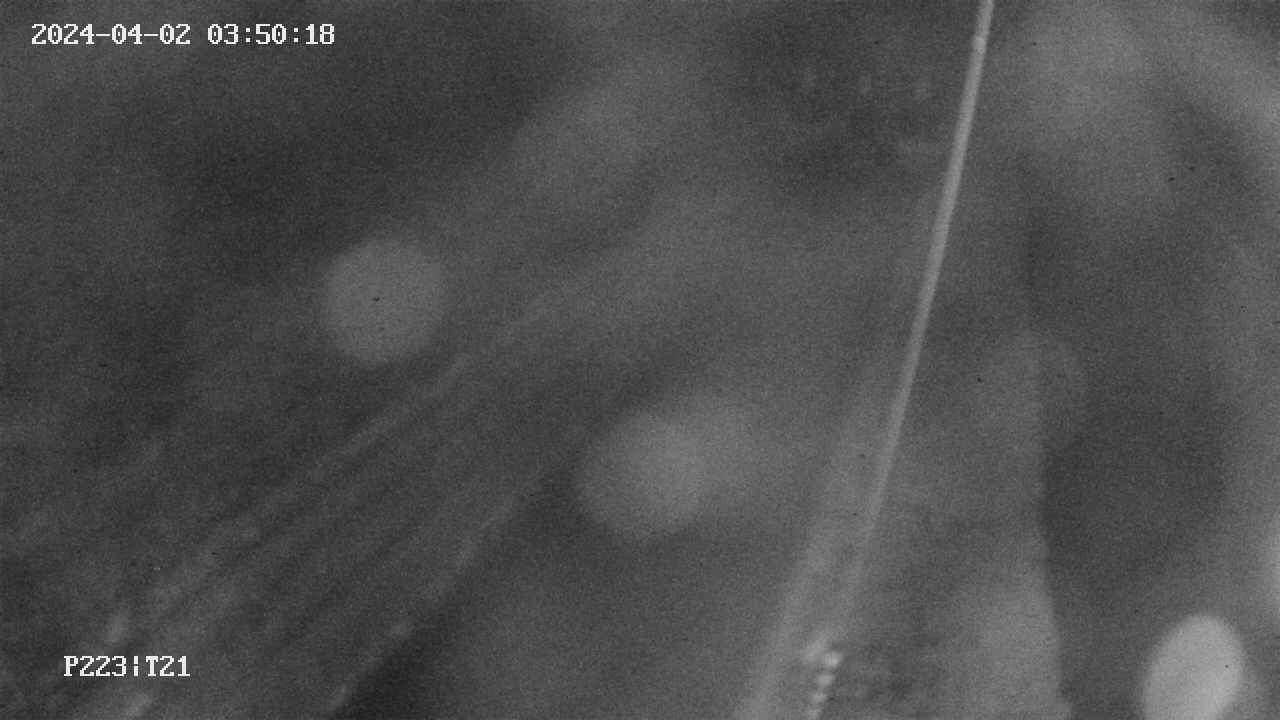 area9-20240402035019.jpg