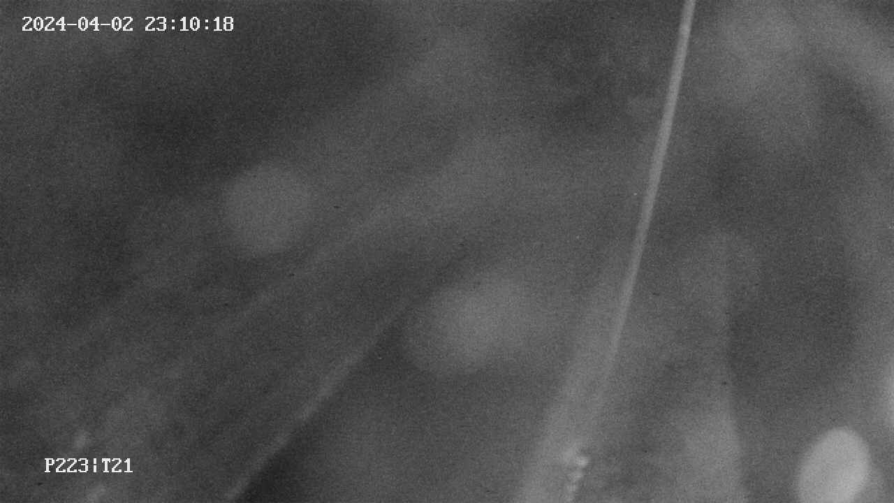 area9-20240402231019.jpg