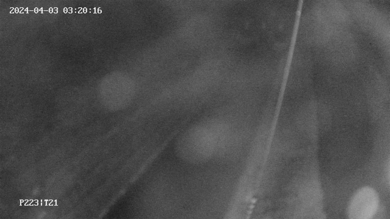 area9-20240403032017.jpg