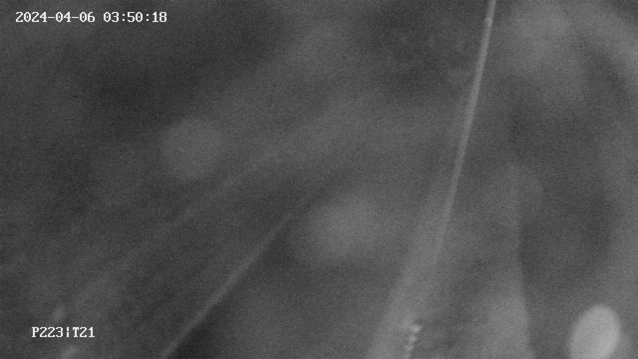 area9-20240406035019.jpg