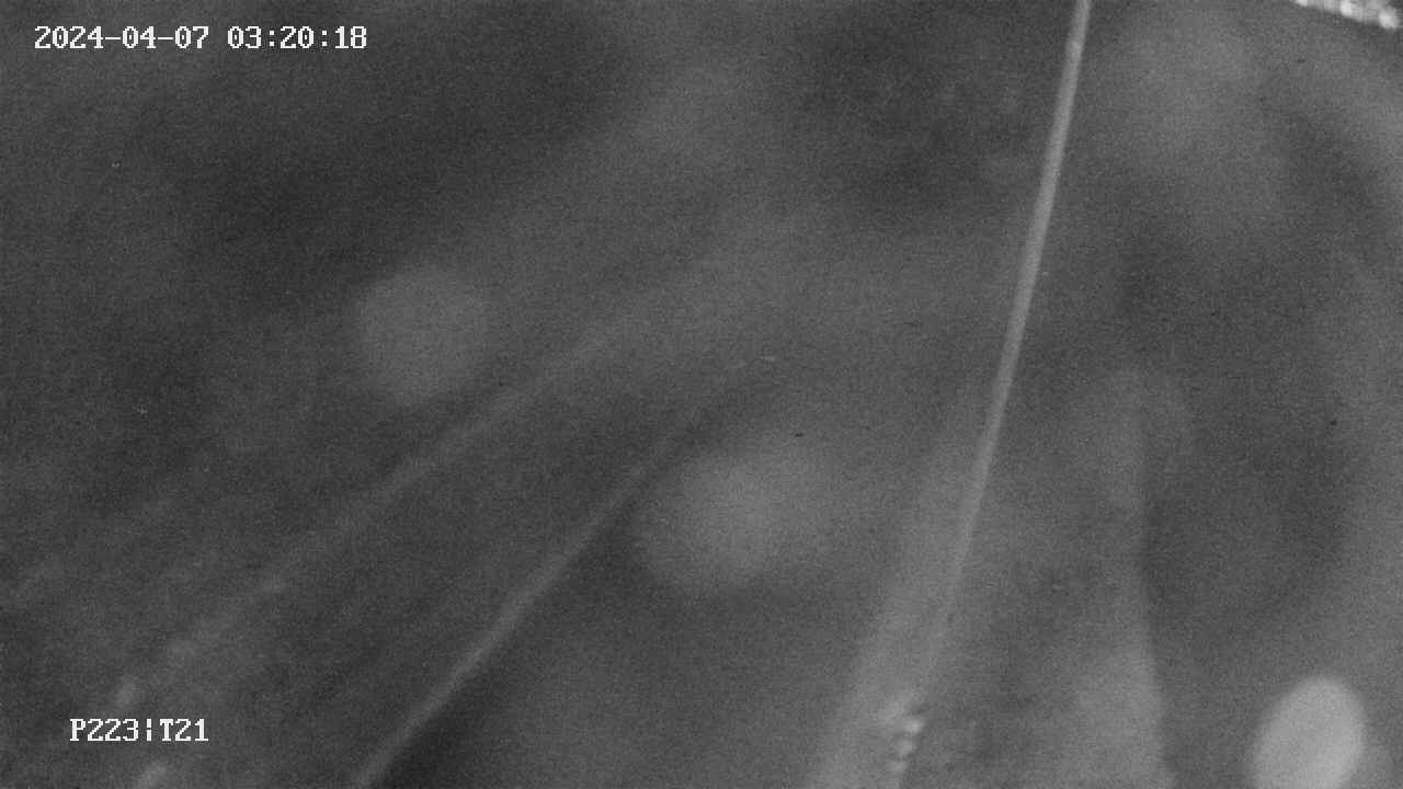 area9-20240407032019.jpg