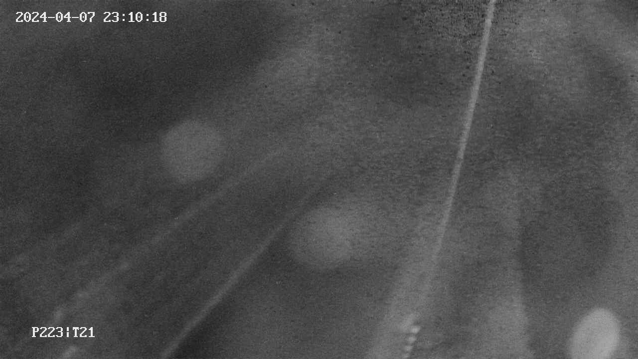 area9-20240407231019.jpg