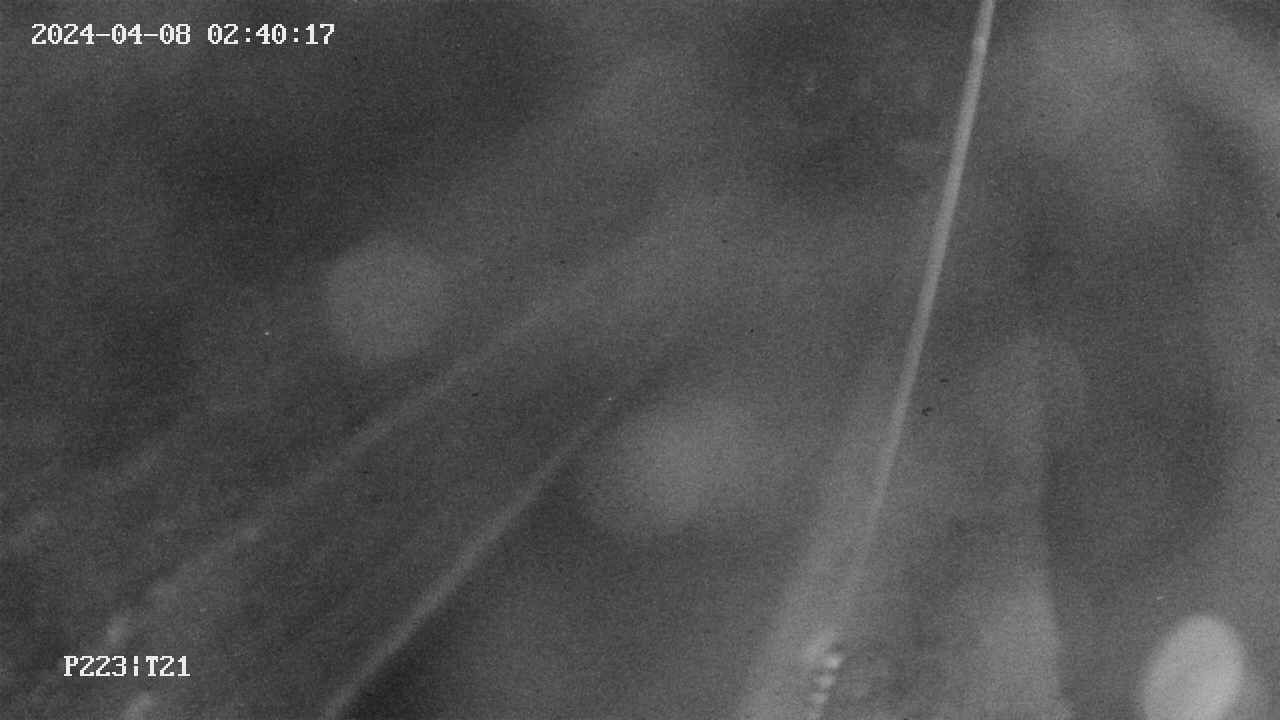 area9-20240408024018.jpg