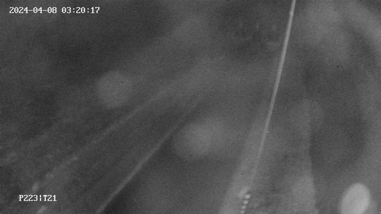 area9-20240408032018.jpg
