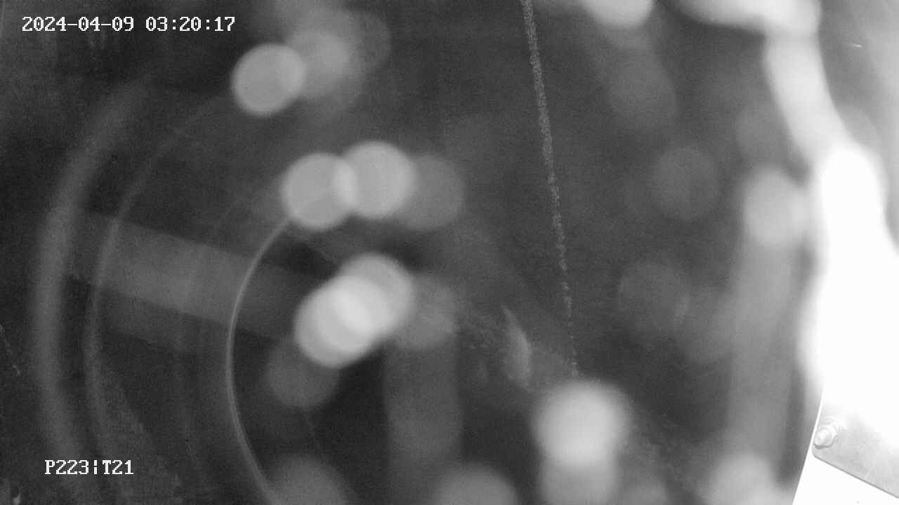 area9-20240409032018.jpg