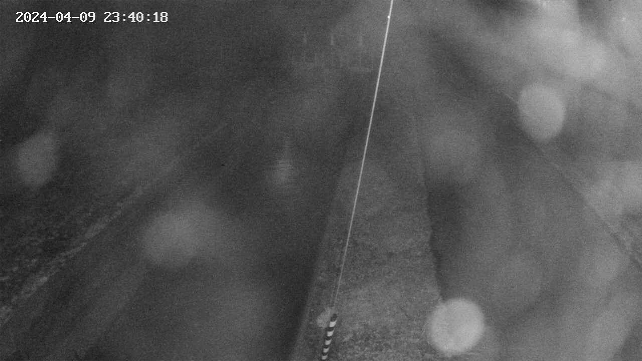 area9-20240409234018.jpg